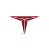 Triumph Group logo