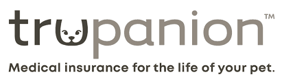 Company banner