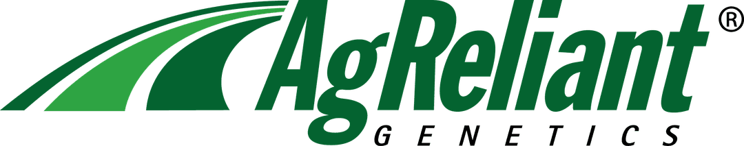 Company banner