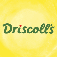 Company banner
