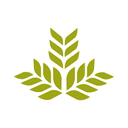 Northeast Georgia Health System, Inc.