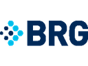 Berkeley Research Group