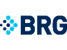 Berkeley Research Group
