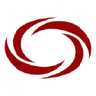 North American Energy Partners Inc logo