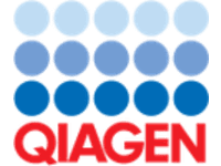 Company banner