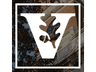 Vanderbilt University logo