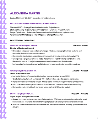 Senior leader resume template showcasing management experience, team leadership, and business impact