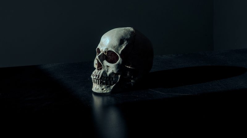 article-image