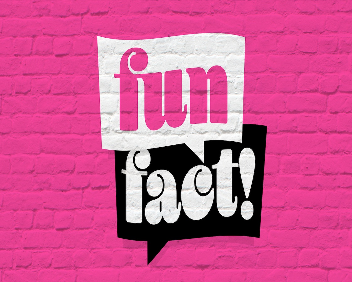 Fun facts about me?” – Over 50 prompts to help you survive if asked during  a job interview
