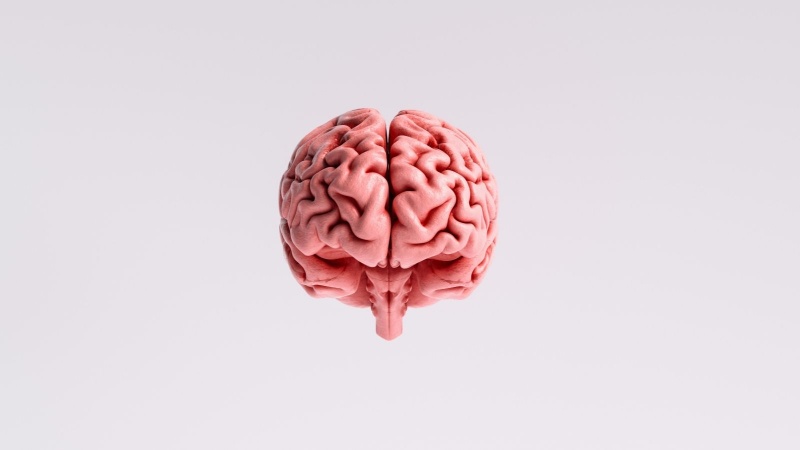 article-image