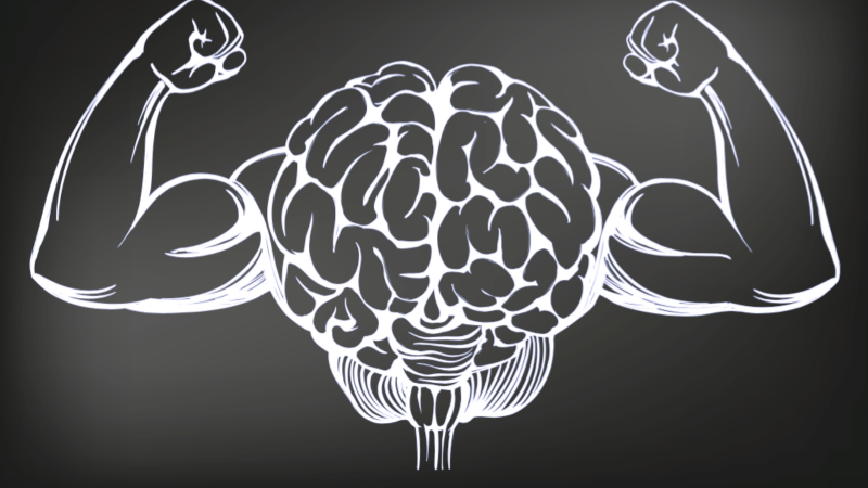 article-image