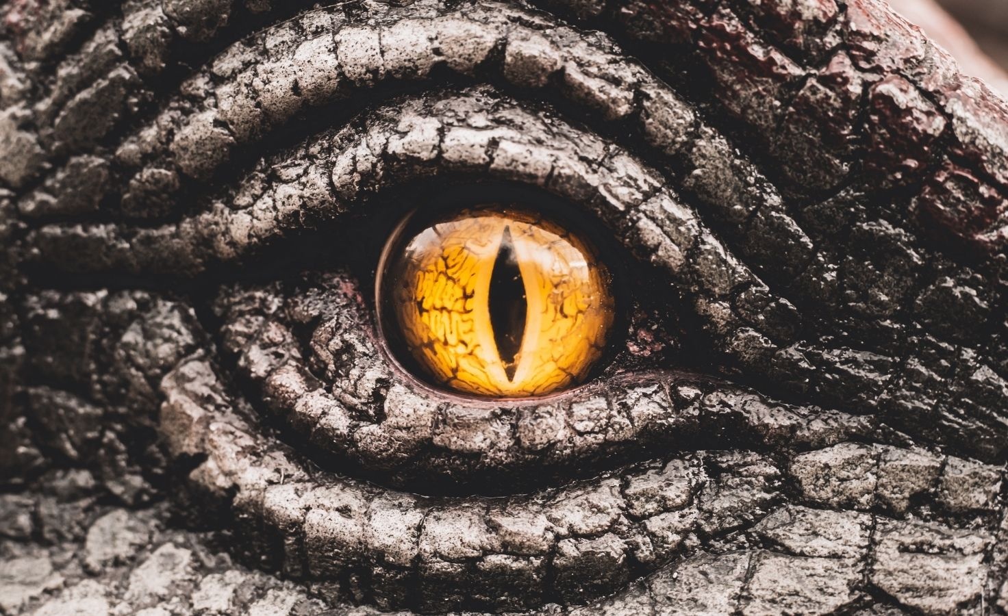 Everything you need to know about becoming a paleontologist