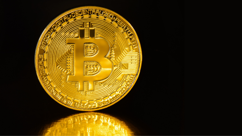 article-image