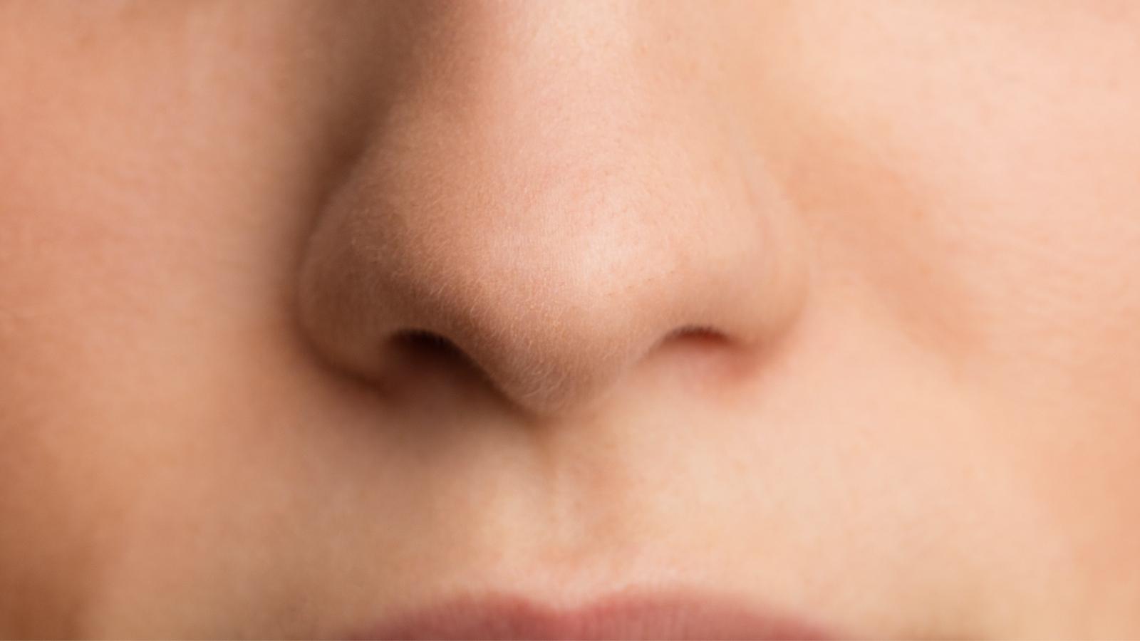 Покажи картинки носа. Картинка носа человека. Burun.