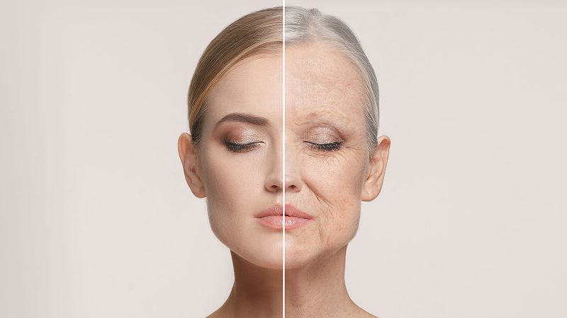 article-image