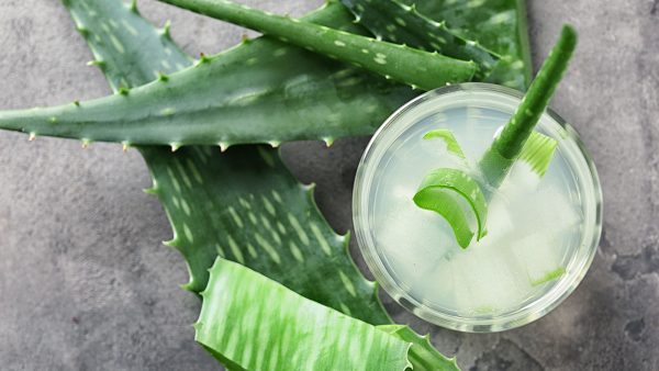 5 reasons you should drink aloe juice this summer