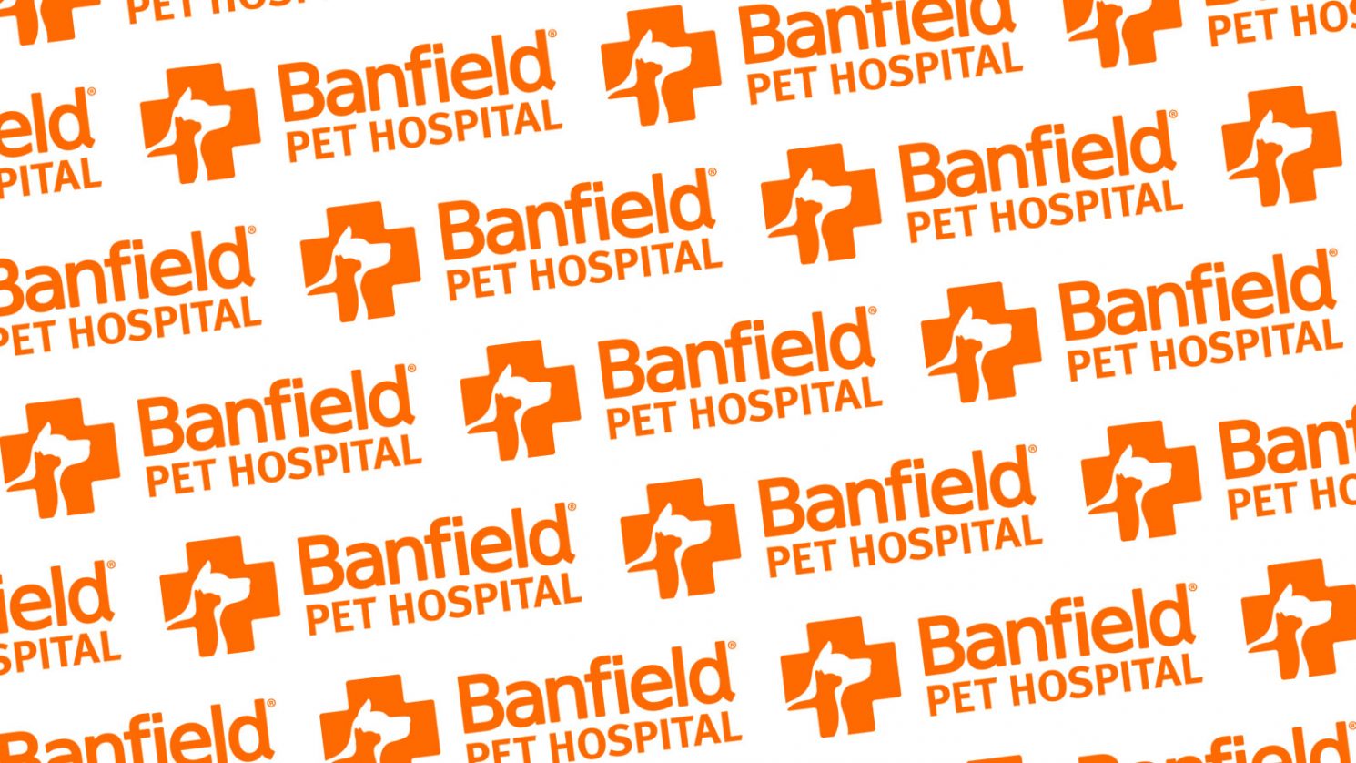 A look at veterinary organization Banfield Pet Hospital (plus advice for  getting hired)