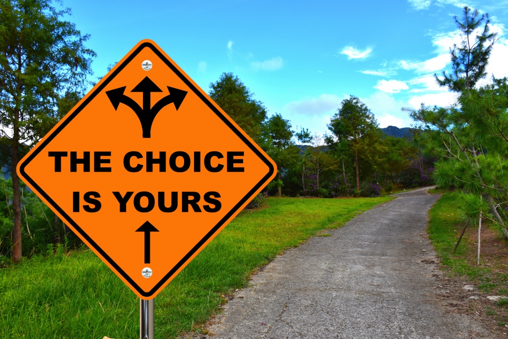 A long country path stretches out beyond a large, orange sign that shows multiple arrows pointing in different directions and has the words "The choice is yours" written across it.
