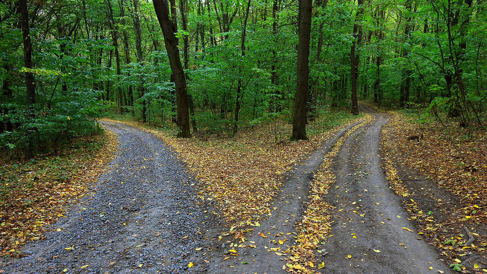 Path Choises Changing careers in your 30s: What you need to know