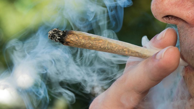 article-image